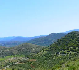 Κτήμα Βασιλάκη