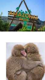 Είσοδος Αμαζόνας