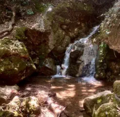 Πασχαλίγο Περπατήστε