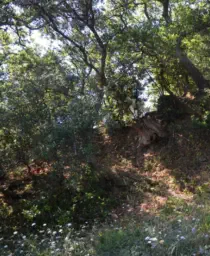 Πασχαλίγο Περπατήστε