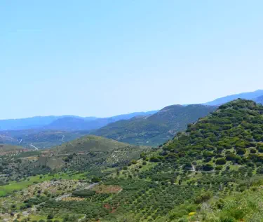 Κτήμα Βασιλάκη