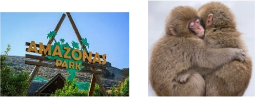 Είσοδος Αμαζόνας