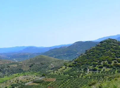 Vassilakis Estate 3